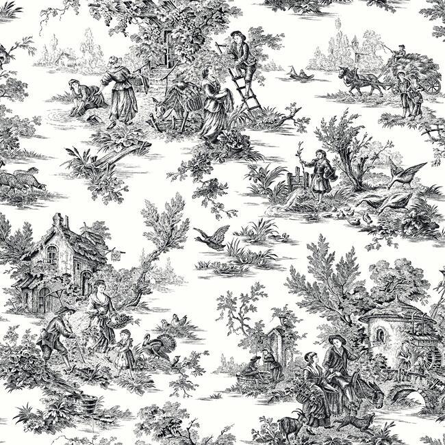 Champagne Toile Wallpaper Wallpaper Ashford House Double Roll Black/White 