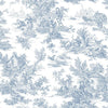 Champagne Toile Wallpaper Wallpaper Ashford House Double Roll Blue/White 