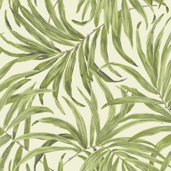 Bali Leaves Wallpaper Wallpaper Ashford House Double Roll Pearl/Sage 