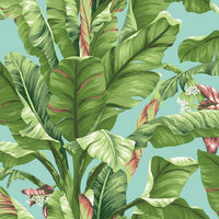 Banana Leaf Wallpaper Wallpaper Ashford House Double Roll Aqua 