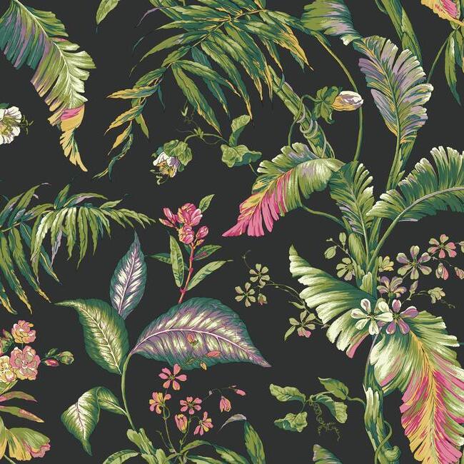 Fiji Garden Wallpaper Wallpaper Ashford House Double Roll Black/Brights 