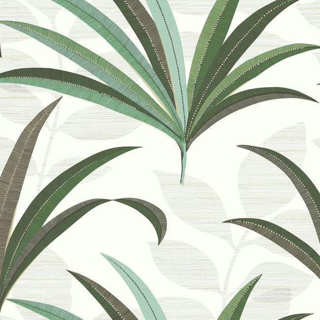 El Morocco Palm Wallpaper Wallpaper Antonina Vella Double Roll White/Green 