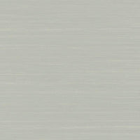 Ragtime Silk Wallpaper Wallpaper Antonina Vella Double Roll Cool Grey 