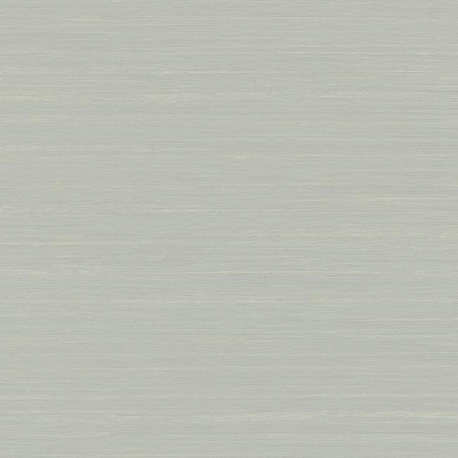 Ragtime Silk Wallpaper Wallpaper Antonina Vella Double Roll Cool Grey 