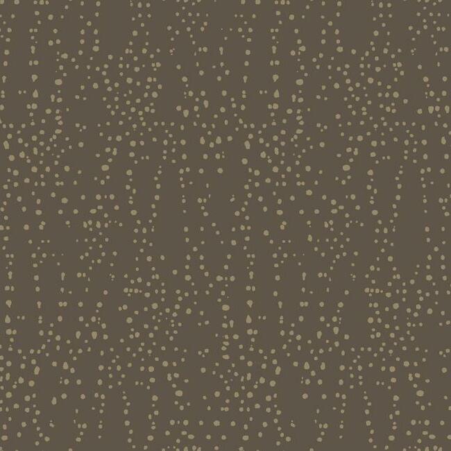 Star Struck Wallpaper Wallpaper Candice Olson Double Roll Brown/Gold 