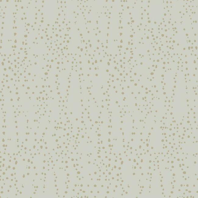 Star Struck Wallpaper Wallpaper Candice Olson Double Roll Grey/Gold 