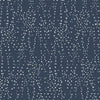 Star Struck Wallpaper Wallpaper Candice Olson Double Roll Navy/Gray 