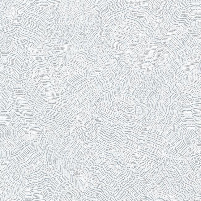 Aura High Performance Wallpaper High Performance Wallpaper Candice Olson Double Roll Frost 