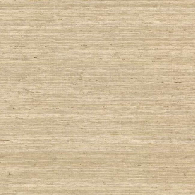 Arrowroot Wallpaper Wallpaper York Double Roll Sand 