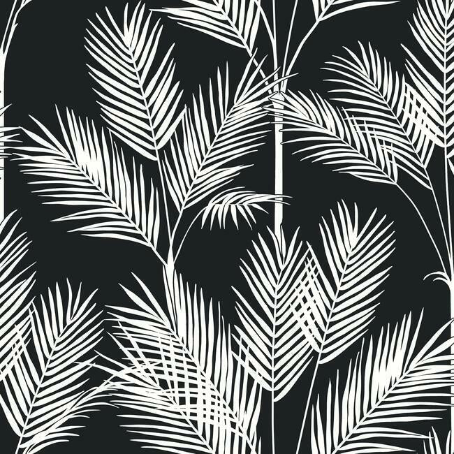 King Palm Silhouette Wallpaper Wallpaper York Double Roll Black 