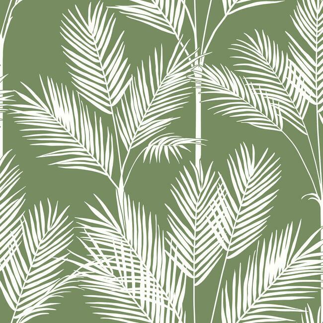 King Palm Silhouette Wallpaper Wallpaper York Double Roll Fern 