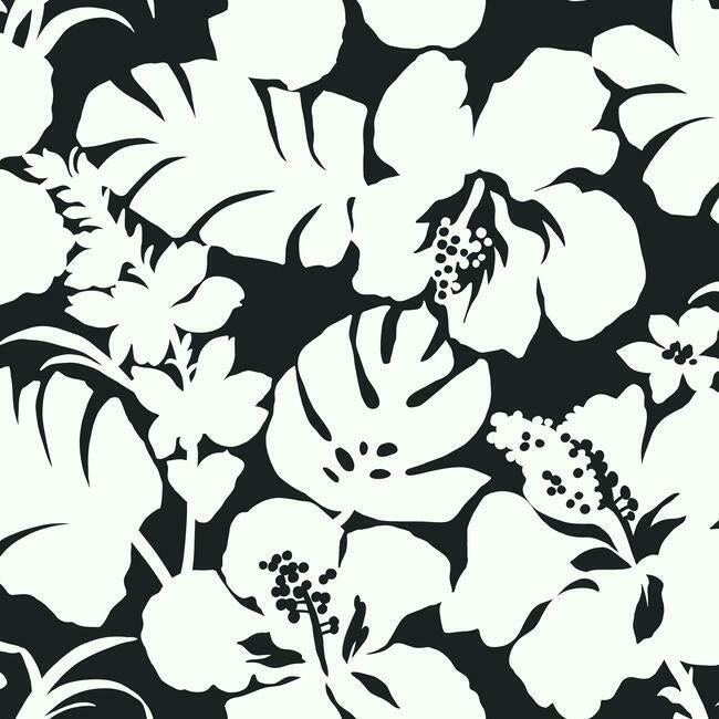 Hibiscus Arboretum Wallpaper Wallpaper York Double Roll Black 