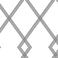 Ribbon Stripe Trellis Wallpaper Wallpaper York Double Roll White/Black 