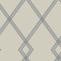 Ribbon Stripe Trellis Wallpaper Wallpaper York Double Roll Taupe 