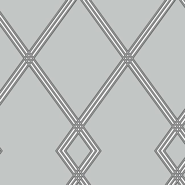 Ribbon Stripe Trellis Wallpaper Wallpaper York Double Roll Grey/Black 