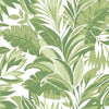 Palm Silhouette Wallpaper Wallpaper York Double Roll Green 