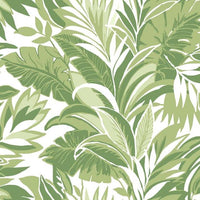 Palm Silhouette Wallpaper Wallpaper York Double Roll Green 