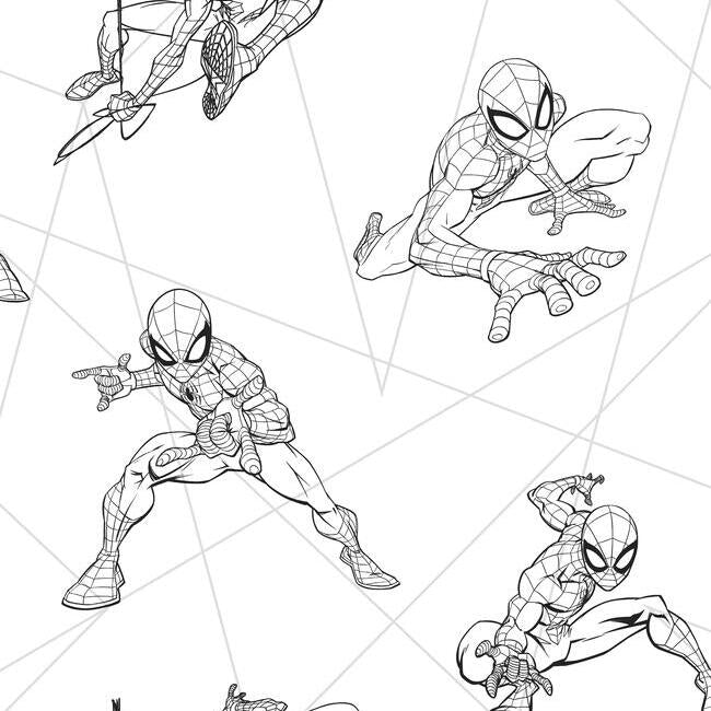 Spider-Man Fracture Wallpaper Wallpaper York Double Roll Black/Grey 