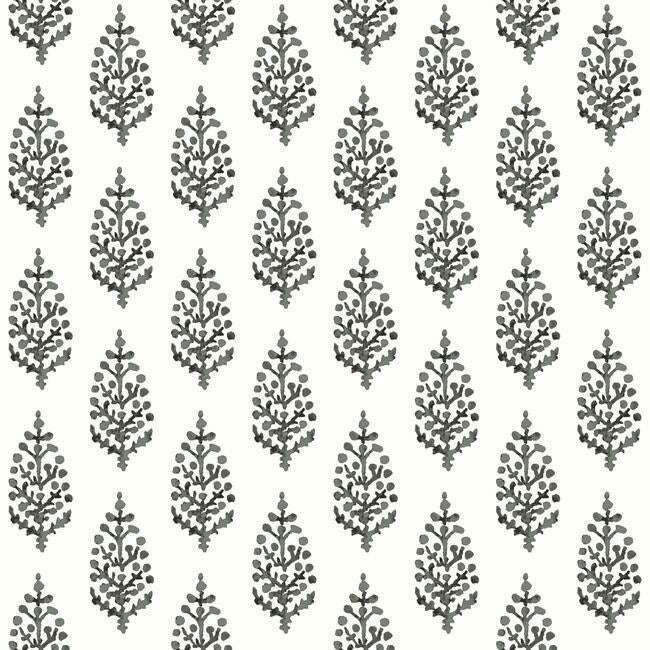 Paisley On Calico Wallpaper Wallpaper York Double Roll Black/White 