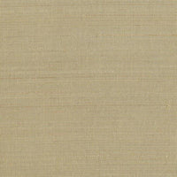 Abaca Wallpaper Wallpaper Ronald Redding Designs Double Roll Beige 