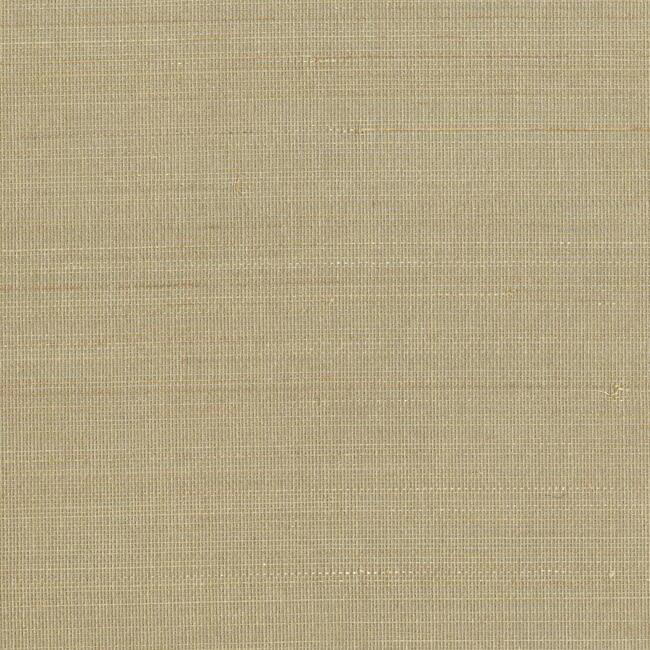 Abaca Wallpaper Wallpaper Ronald Redding Designs Double Roll Beige 