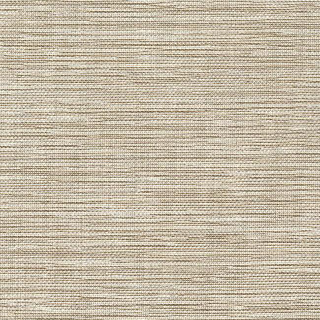 Masaka Wallpaper Wallpaper Ronald Redding Designs Double Roll Beige 