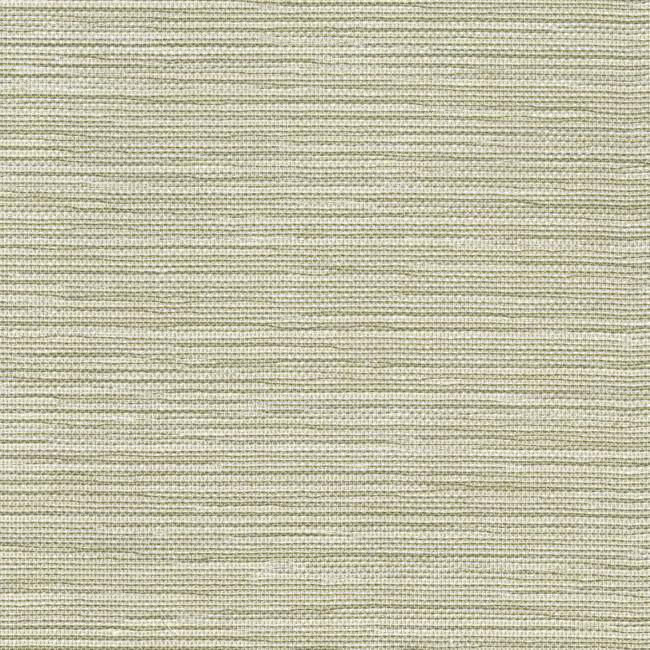 Masaka Wallpaper Wallpaper Ronald Redding Designs Double Roll Green 