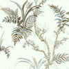Enchanted Fern Wallpaper Wallpaper York   