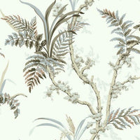 Enchanted Fern Wallpaper Wallpaper York   
