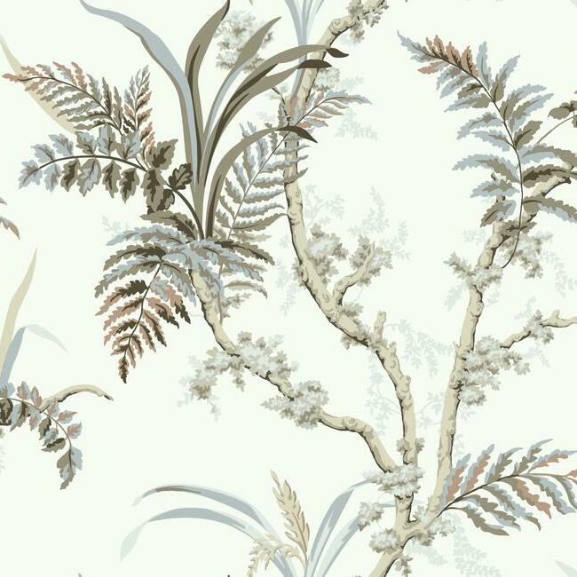 Enchanted Fern Wallpaper Wallpaper York   