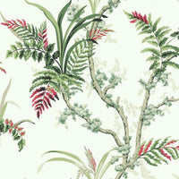 Enchanted Fern Wallpaper Wallpaper York Double Roll Green/Crimson 