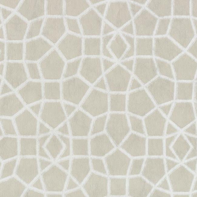 Sculptural Web Wallpaper Wallpaper Ronald Redding Designs Double Roll Beige 