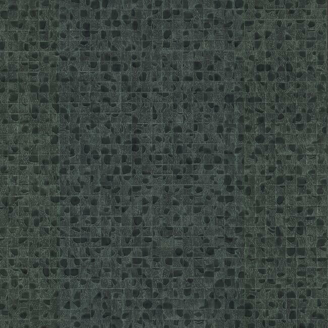 Leather Lux Wallpaper Wallpaper Ronald Redding Designs Double Roll Juniper 