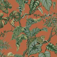 Jungle Cat Wallpaper Wallpaper Ronald Redding Designs Double Roll Orange 