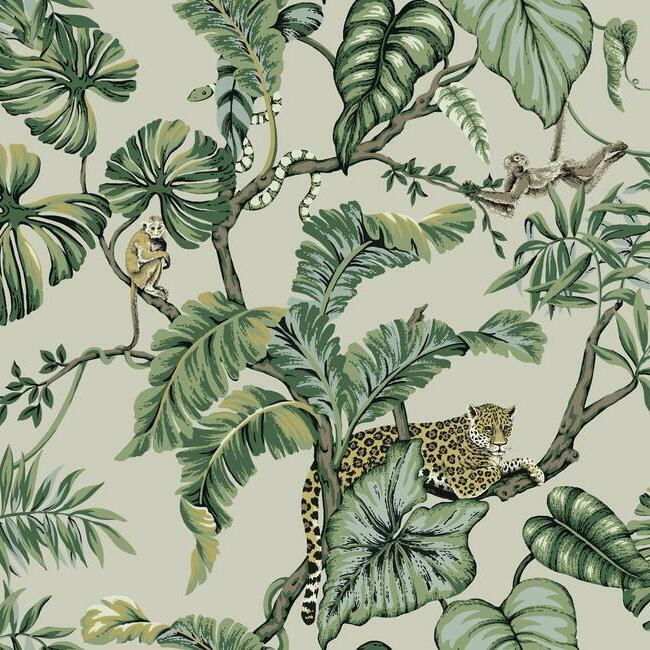 Jungle Cat Wallpaper Wallpaper Ronald Redding Designs Double Roll Taupe 