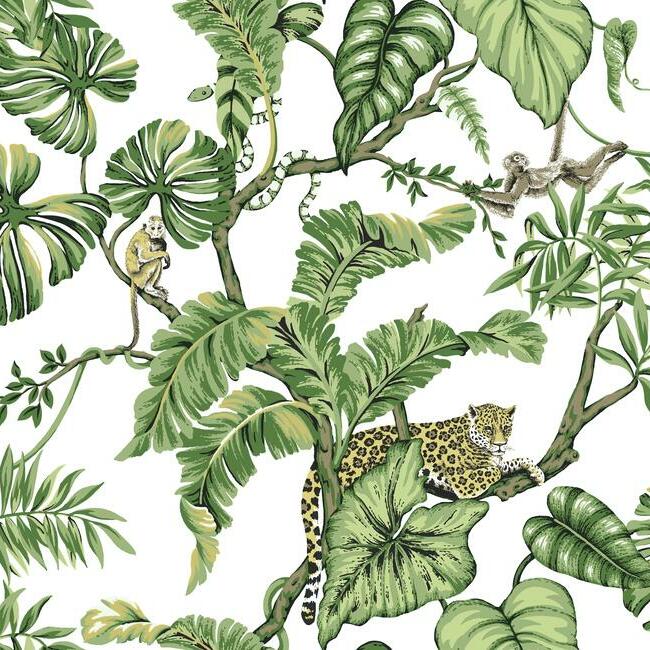 Jungle Cat Wallpaper Wallpaper Ronald Redding Designs Double Roll White 