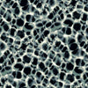 Leopard Rosettes Wallpaper Wallpaper Ronald Redding Designs Double Roll Blue 