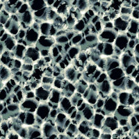 Leopard Rosettes Wallpaper Wallpaper Ronald Redding Designs Double Roll Blue 