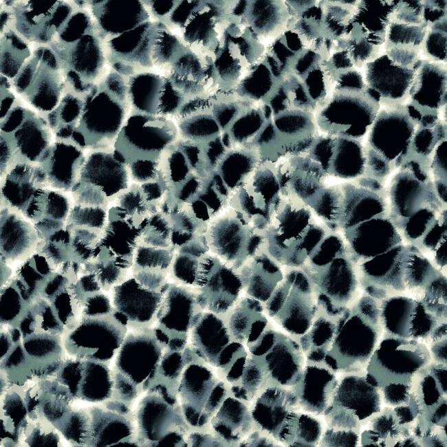 Leopard Rosettes Wallpaper Wallpaper Ronald Redding Designs Double Roll Blue 