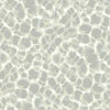 Leopard Rosettes Wallpaper Wallpaper Ronald Redding Designs Double Roll Grey 