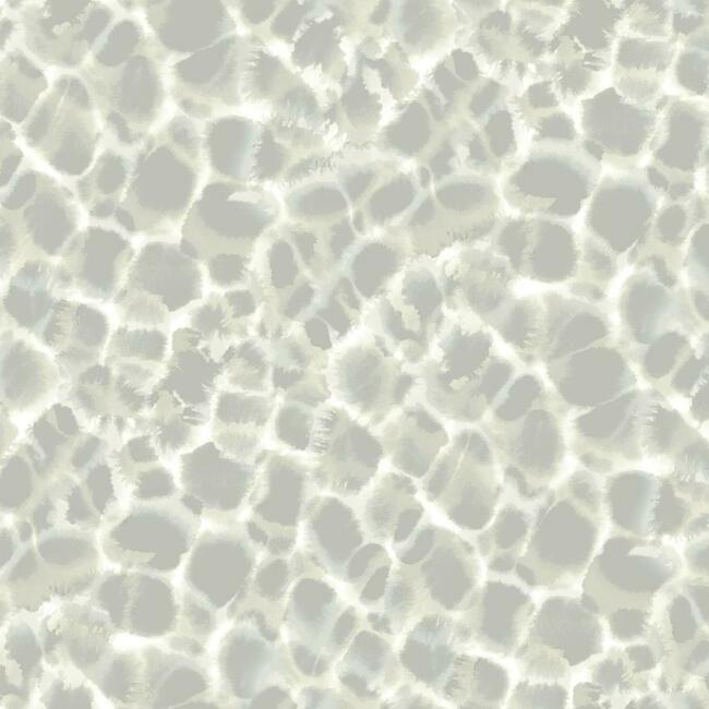 Leopard Rosettes Wallpaper Wallpaper Ronald Redding Designs Double Roll Grey 