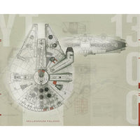 Star Wars Millennium Falcon ML Wall Mural Wall Mural RoomMates Each Beige 
