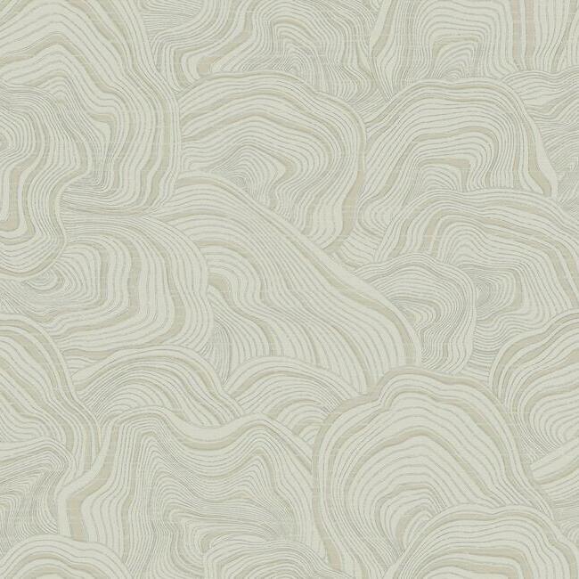 Geodes Wallpaper Wallpaper Ronald Redding Designs Double Roll Taupe 