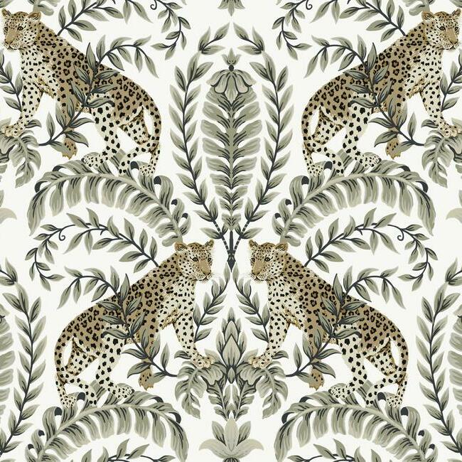 Jungle Leopard Wallpaper Wallpaper Ronald Redding Designs Double Roll White/Black 