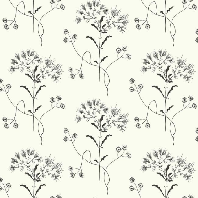 Wildflower Wallpaper Wallpaper Magnolia Home Double Roll Black On White 