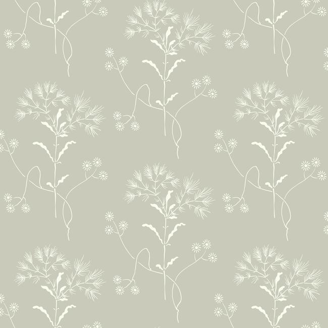Wildflower Wallpaper Wallpaper Magnolia Home Double Roll Cupola / Light Grey 