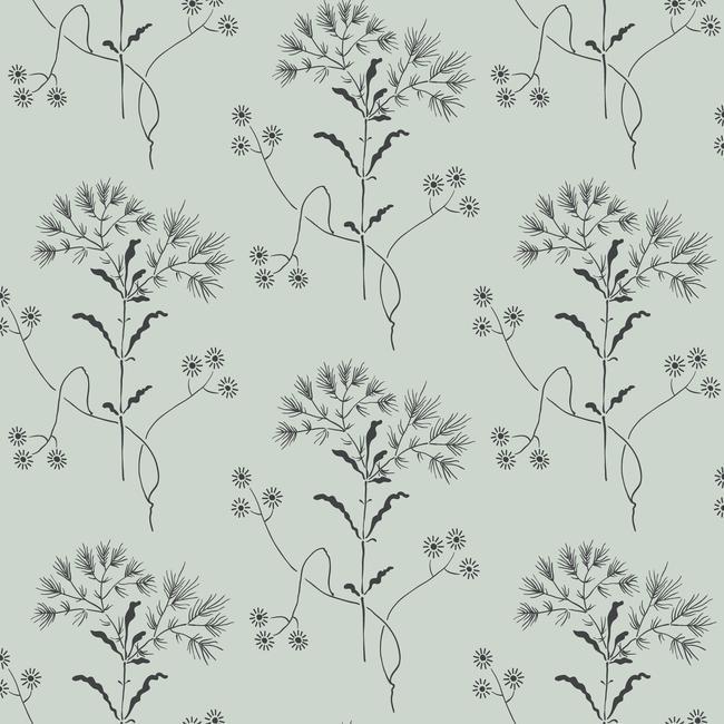 Wildflower Wallpaper Wallpaper Magnolia Home Double Roll Wedding Band / Blue 
