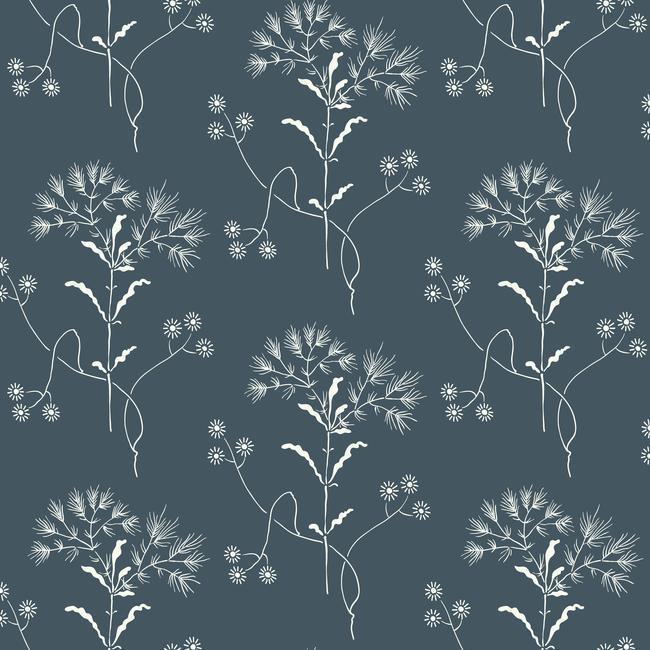 Wildflower Wallpaper Wallpaper Magnolia Home Sample White On Navy