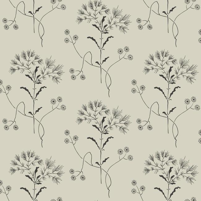 Wildflower Wallpaper Wallpaper Magnolia Home Sample White/Gatherings