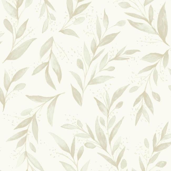 Olive Branch Wallpaper Wallpaper Magnolia Home Double Roll Beige 